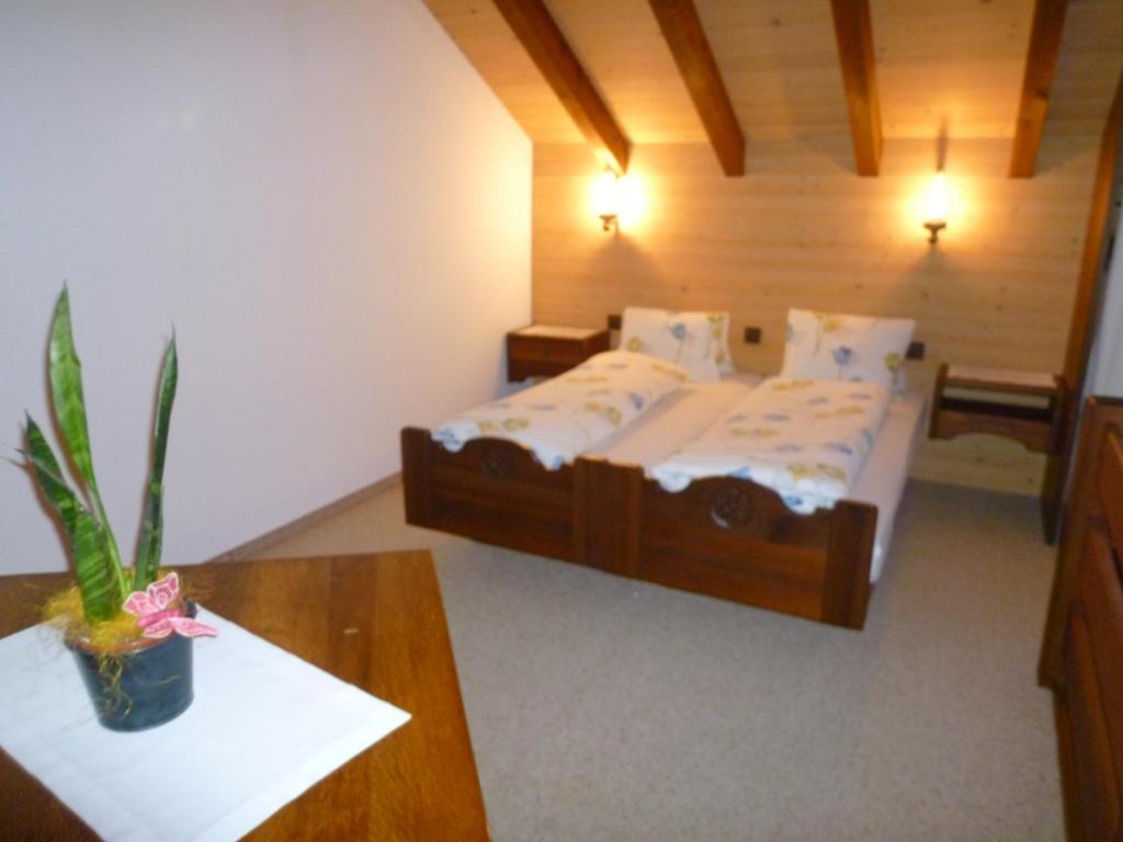 Hotel Bahnhof Giswil 部屋 写真